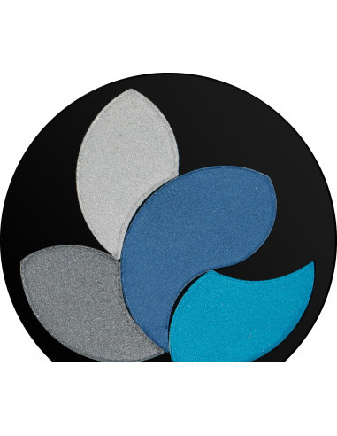Quiz Тіні для повік Color Focus 4