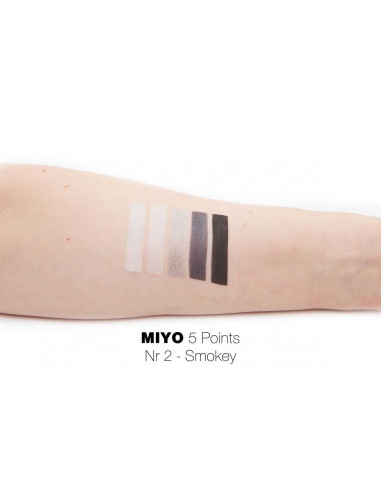 MIYO Палетка теней для век Five point