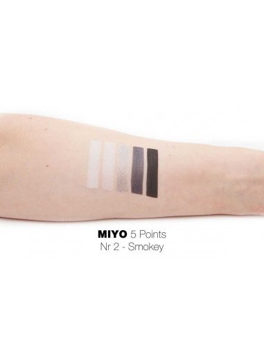 MIYO Палетка теней для век Five point