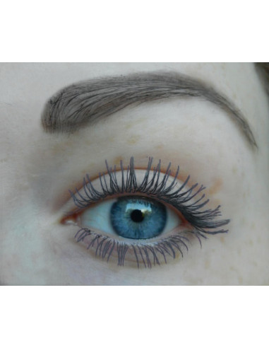 Parisa Cosmetics Туш для вій Wild М-119