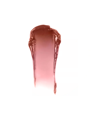 Parisa Cosmetics Олійка-блиск для губ...