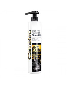 Delia cosmetics Cameleo...