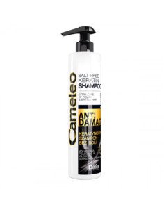 Delia cosmetics Cameleo...