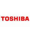 TOSHIBA, Китай